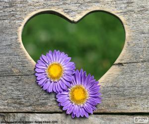 yapboz Kalp ve iki çiçek
